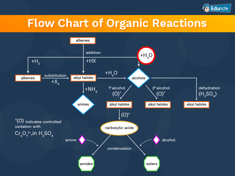 React charts