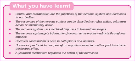 Line and Paragraph Line and Paragraph