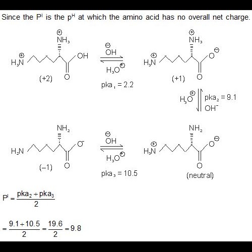 Based on the information given below, the isoelectric point (pI) of
