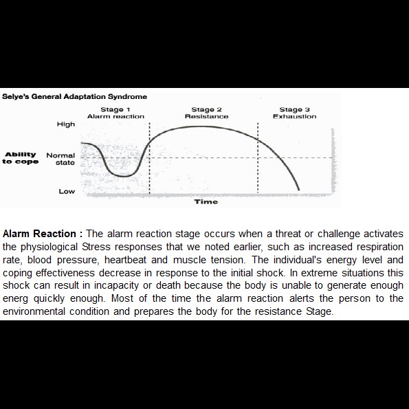 ?Alarm Reaction?, ?Stage of Resistance? and ?Stage of Exhaustion? are