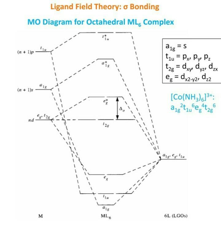 Explain MO energy level diagram for octahedral complex (Co(NH\u00B3)6 ...