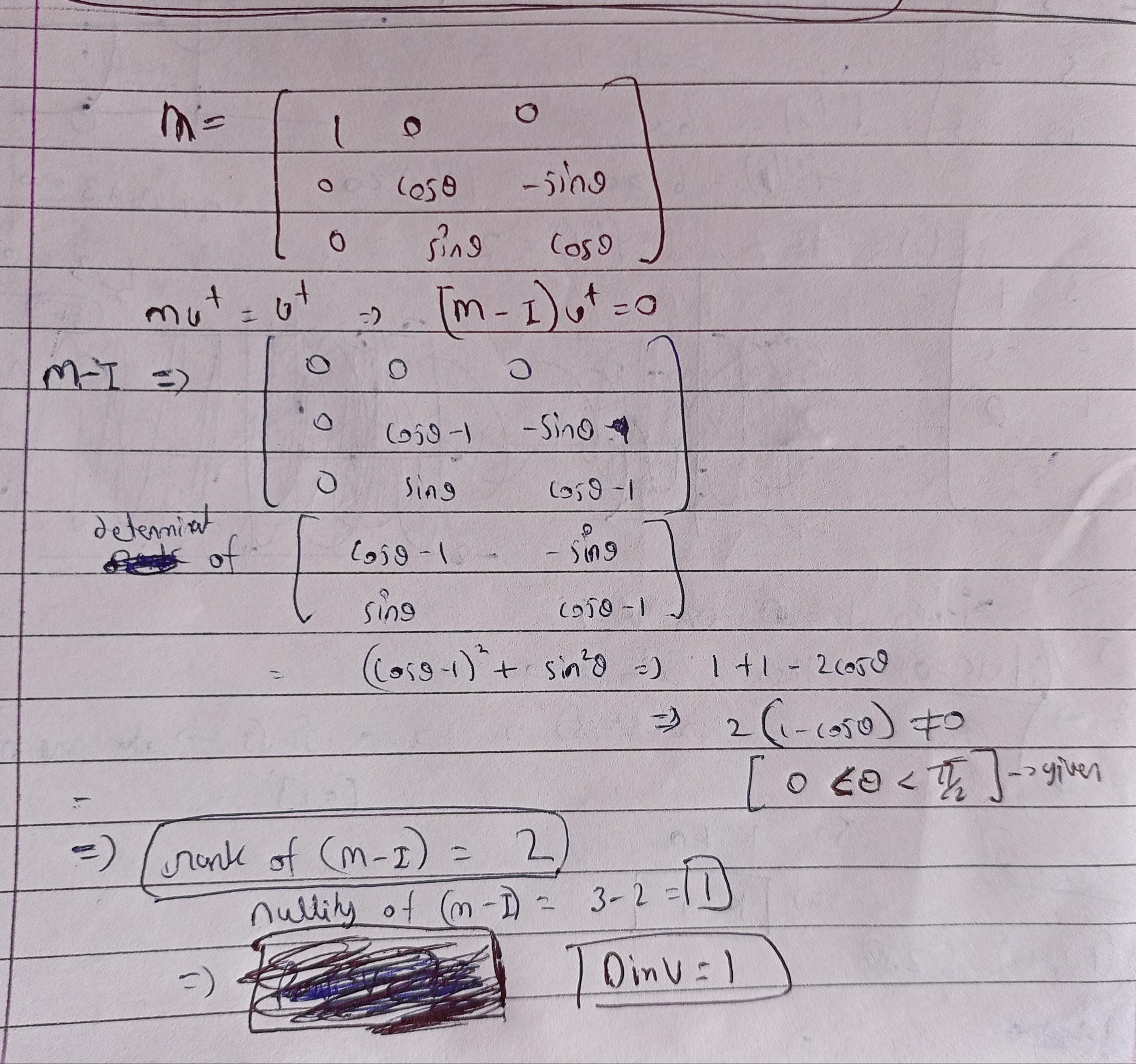 cropped4369396631062734885.jpg