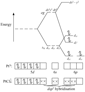 images (24).png