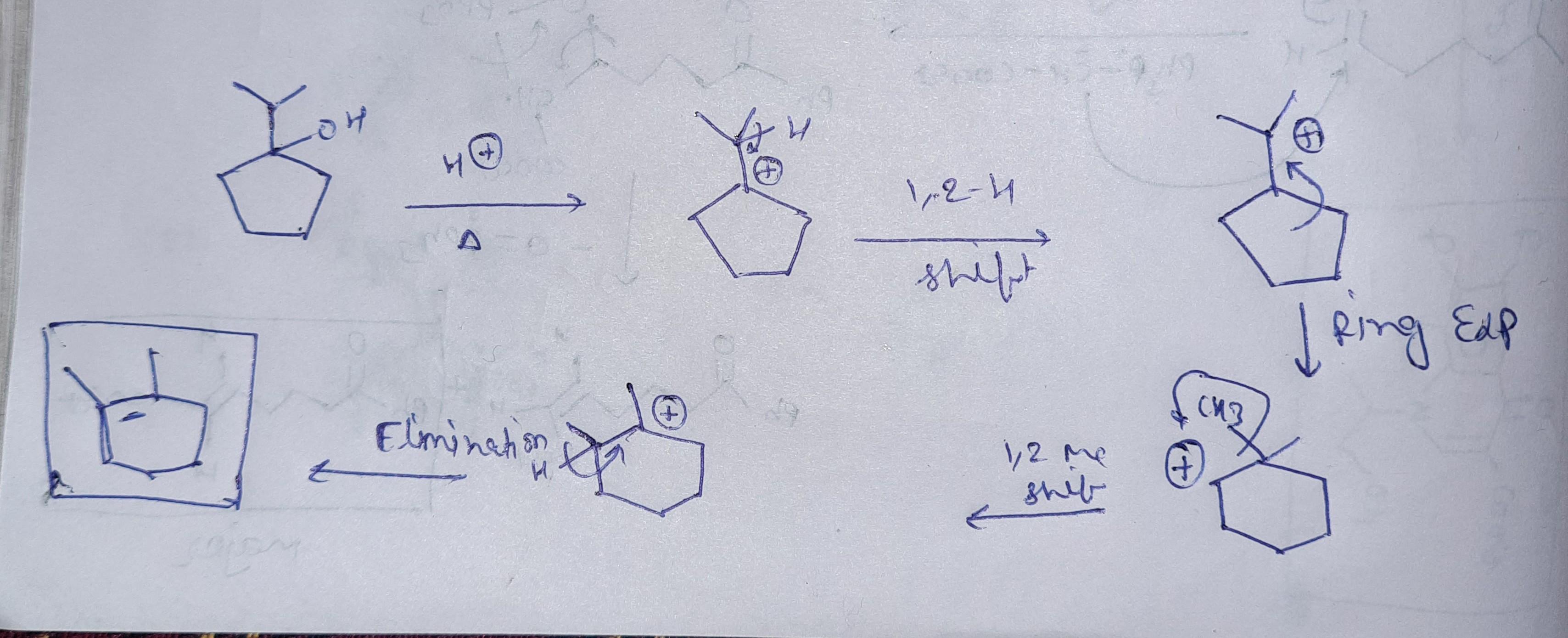 cropped6459351875971067935.jpg