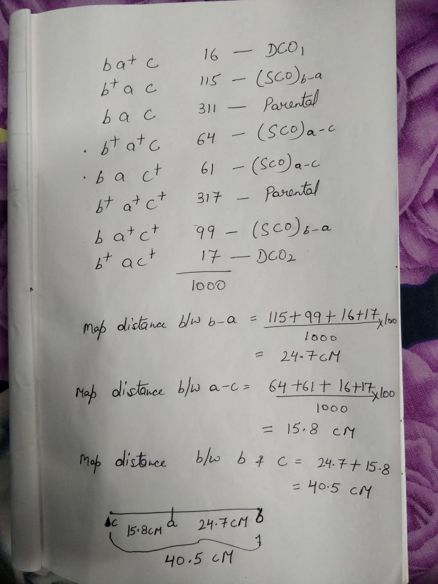 WhatsApp Image 2020-12-24 at 07.49.11.jpeg