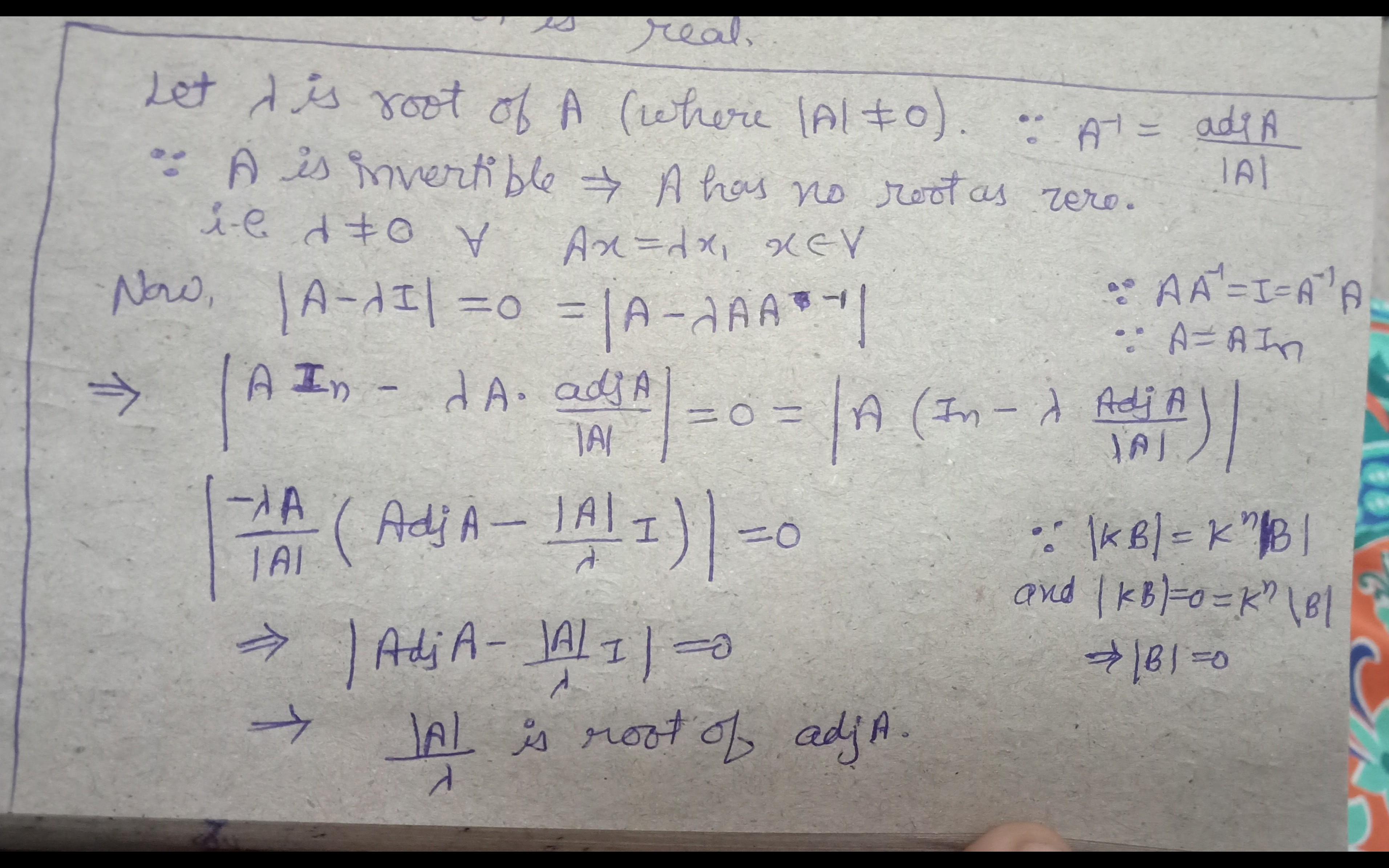 cropped8428719164556624422.jpg