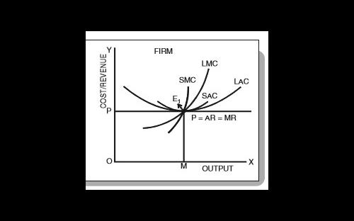 WhatsApp Image 2020-05-10 at 08.58.14.jpeg