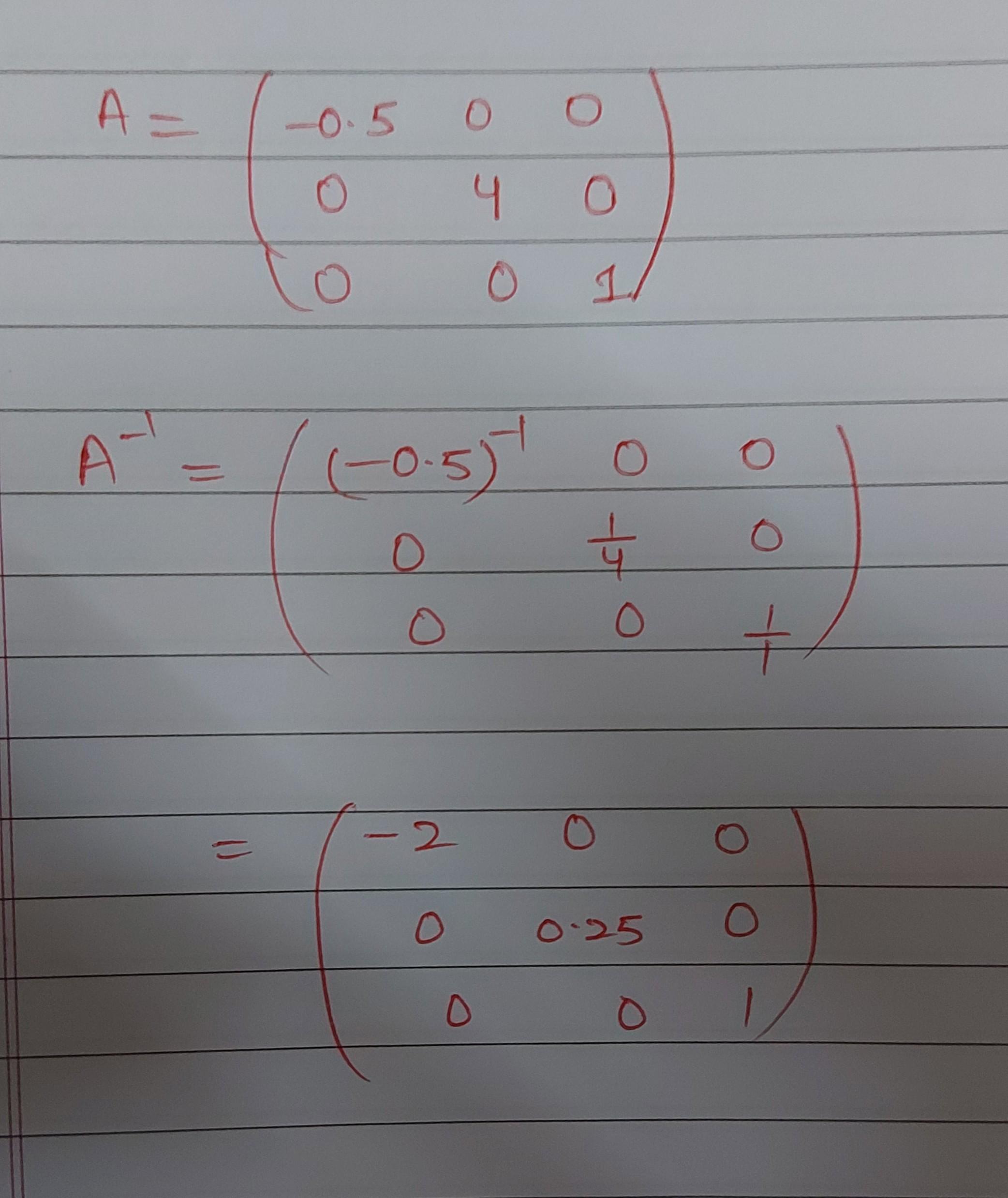 cropped4550374952904440240.jpg