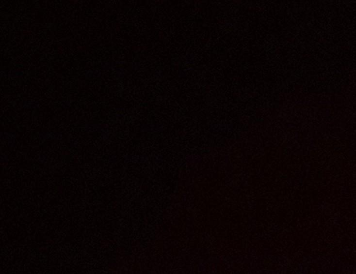 cropped685475999862234416.jpg