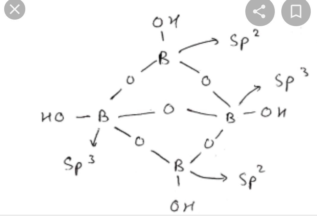 cropped5779281491936243704.jpg