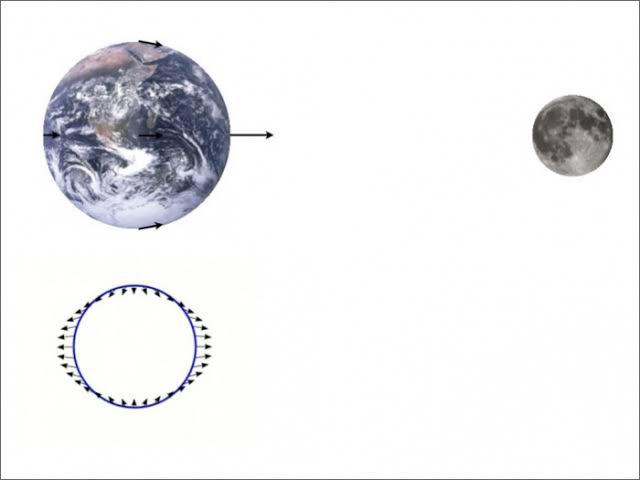 cropped2799139288372800906.jpg