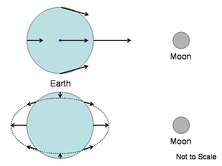 cropped5782053212856941623.jpg