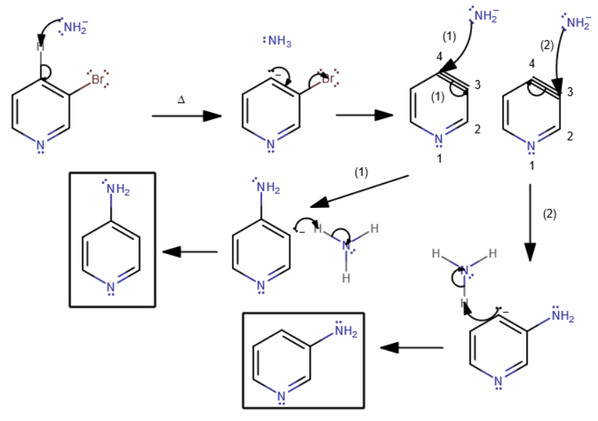 QL6Sw9oSv2W9NvhioBJg_mechanism_-_sodiumamide_NAS_3-bromopyridine.PNG
