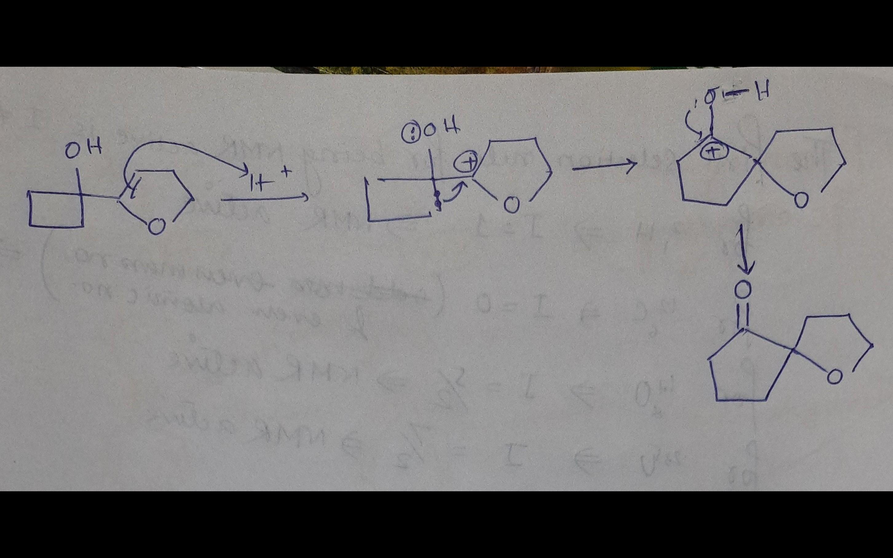 cropped1596141650806206255.jpg