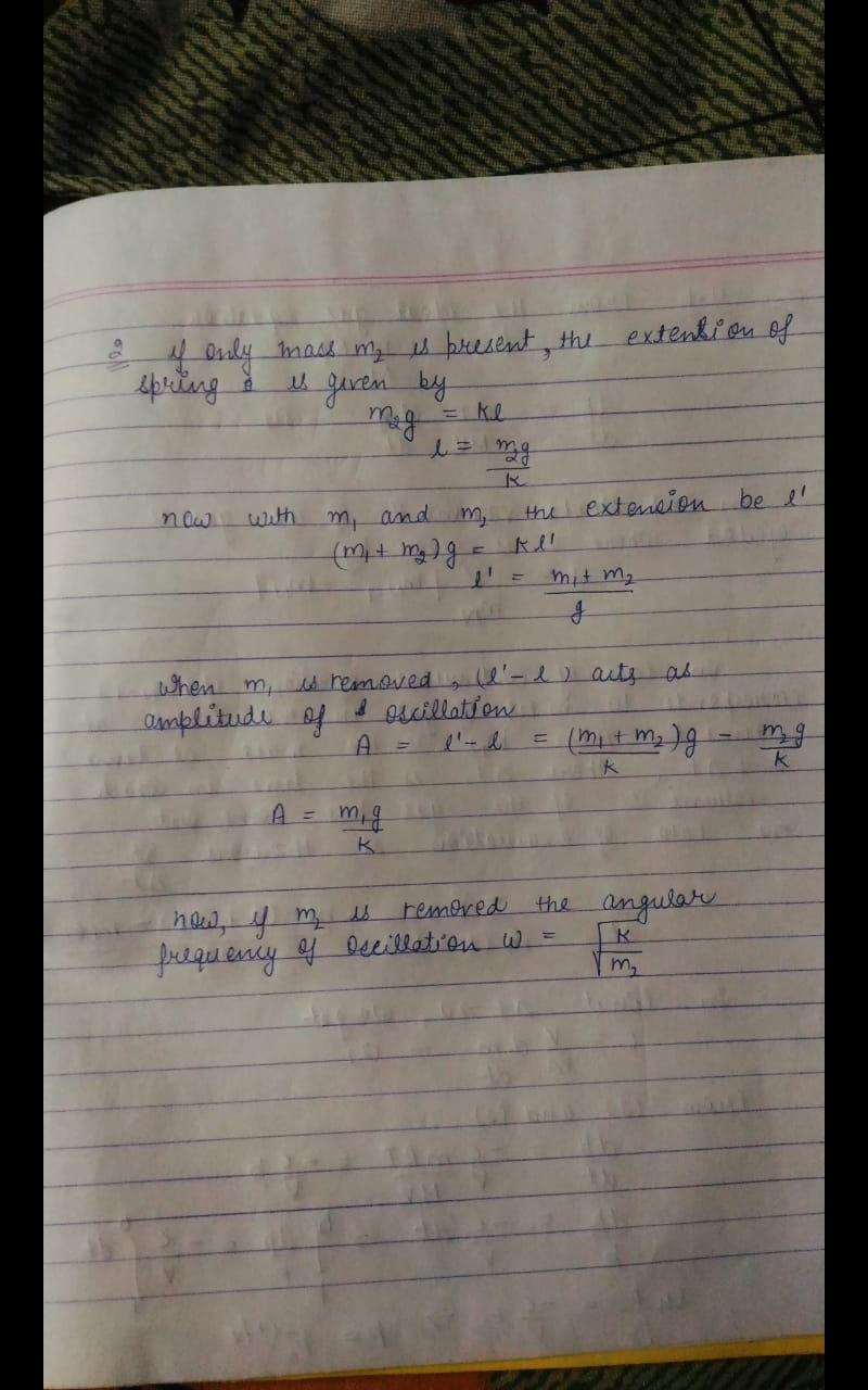 WhatsApp Image 2021-02-27 at 10.24.15 PM.jpeg