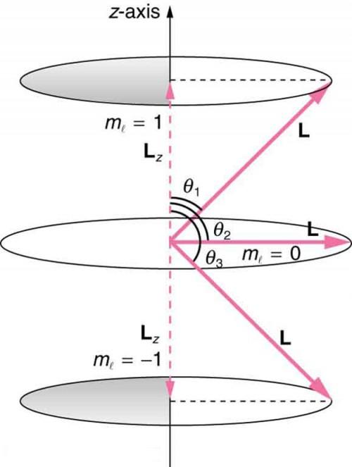 Figure_31_08_00a.jpg