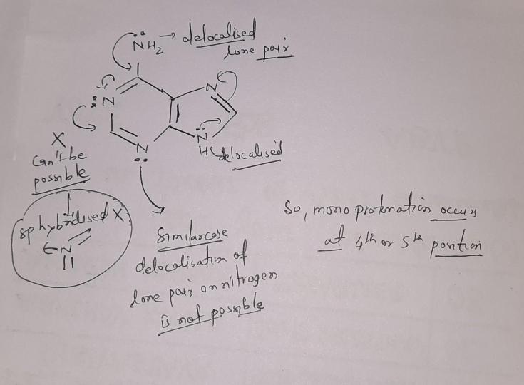 41 the moo protonation of adenine (x) in acidic solution nh mainly