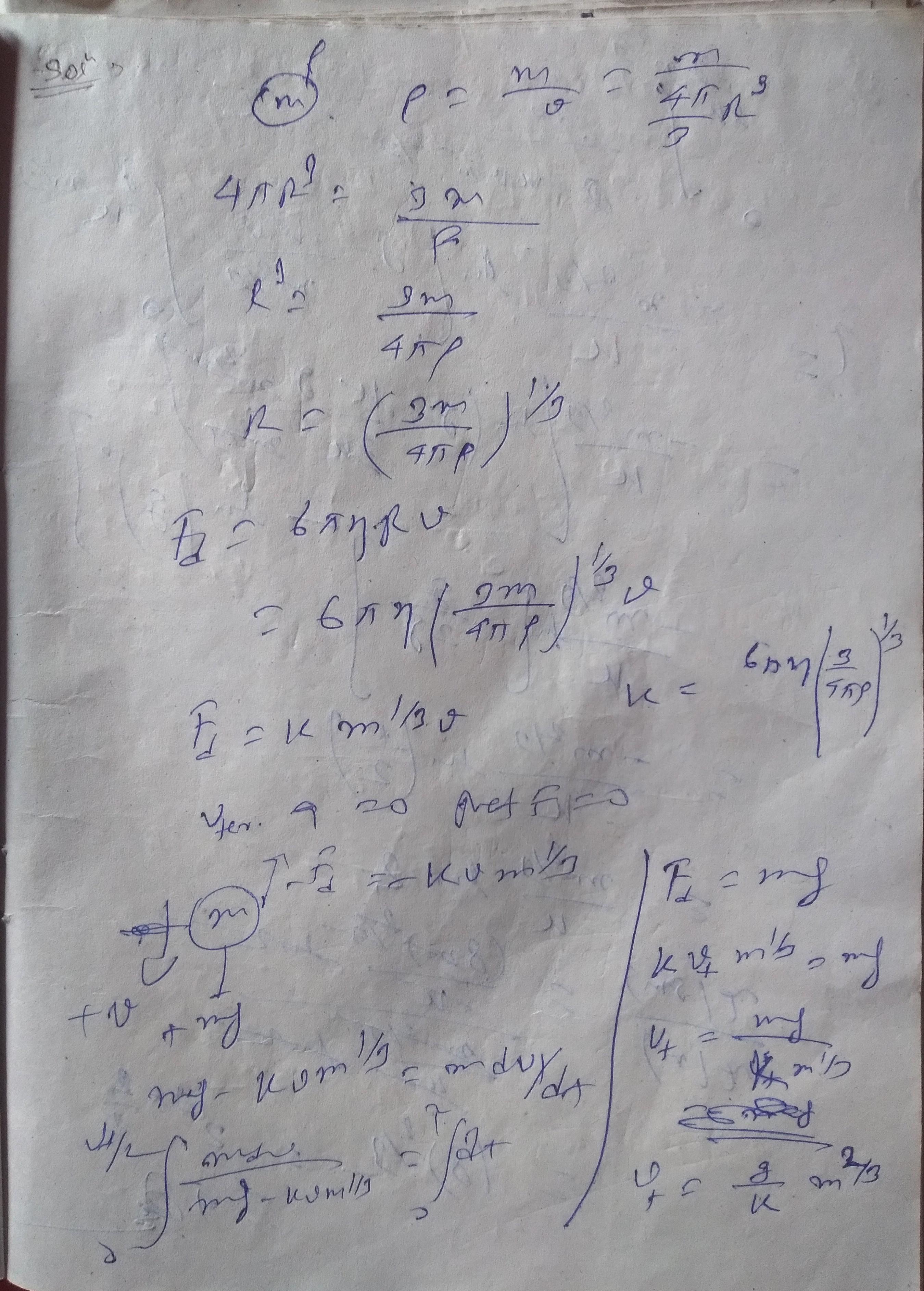 cropped8124018347918374818.jpg
