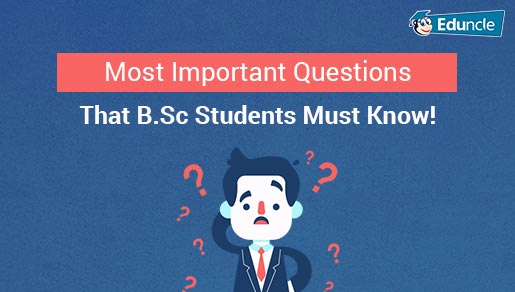 Top 10 FAQ Students Ask Before Planning to Choose BSc Program